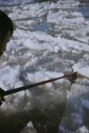 Life Below Zero S12E02 480p x264-mSD [eztv]