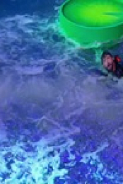 Frogger 2021 S01E02 480p x264-mSD EZTV