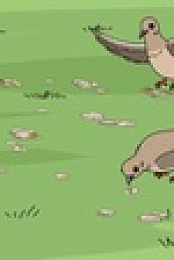Bobs Burgers S13E17 XviD-AFG EZTV