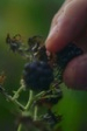 From Scratch S02E08 Dont Be So Shellfish 720p WEB h264-KOMPOST EZTV