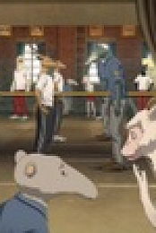 Beastars S01E08 MULTi 1080p WEB H264-NETFLIX EZTV