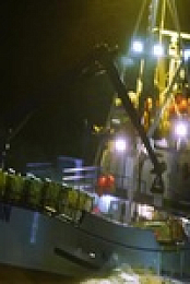 Deadliest Catch S19E21 480p x264-mSD EZTV