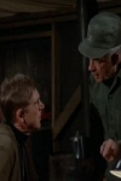 MASH S11E11 480p x264-mSD [eztv]