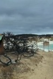 Desert Vet S02E01 iNTERNAL XviD-AFG EZTV