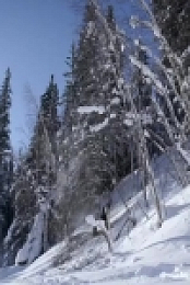 Life Below Zero S14E06 Bone Cold 480p x264-mSD EZTV