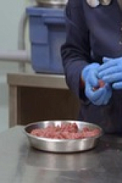 Arctic Vets S02E04 480p x264-mSD EZTV