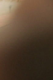 Bad Monkey S01E06 1080p x265-ELiTE EZTV