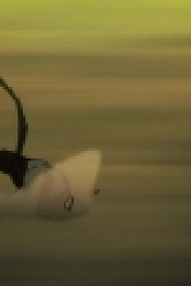 Devilman Crybaby S01E08 720p WEB x264-SKGTV[eztv]