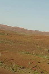 Desert Vet S01E03 480p x264-mSD EZTV
