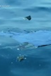 Disasters Engineered S02E10 1080p HEVC x265-MeGusta EZTV