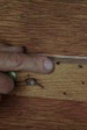 American Pickers S24E09 1080p WEB h264-EDITH EZTV