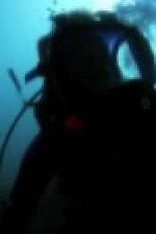 Wild Things with Dominic Monaghan S02E06 Box Jellyfish iNTERNAL 720p WEBRip x264-CAFFEiNE [eztv]