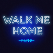 Pink - Walk Me Home (Single) (2019) [Mp3 - 320kbps]