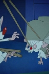 Animaniacs 2020 S01E13 480p x264-mSD EZTV