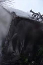 Highway Thru Hell S10E09 720p HEVC x265-MeGusta EZTV