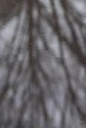 American Anthems S01E03 XviD-AFG EZTV