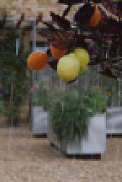 Prue Leiths Cotswold Kitchen S01E10 XviD-AFG EZTV