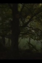 Angela Black S01E06 480p x264-mSD EZTV