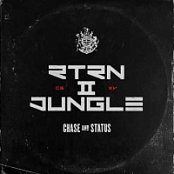 Chase & Status - RTRN II JUNGLE (2019) Flac