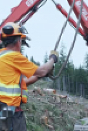 Timber Titans S01E02 XviD-AFG EZTV