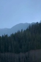 Life Below Zero Next Generation S04E10 480p x264-mSD EZTV
