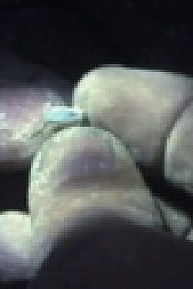 Outback Opal Hunters S03E09 WEB x264-APRiCiTY [eztv]