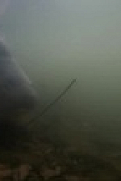 Monster Carp S06E02 XviD-AFG EZTV