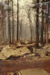 This Old House S42E30 720p HEVC x265-MeGusta EZTV