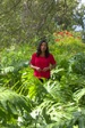 Wild Child S03E12 XviD-AFG EZTV