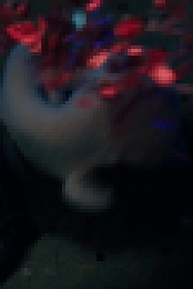 Gen V S01E05 720p x264-FENiX EZTV