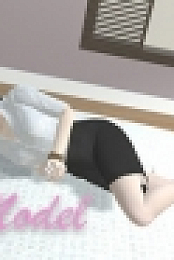 Private Model