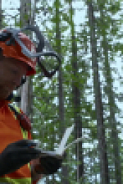Timber Titans S01E06 1080p WEBRip x264-BAE EZTV