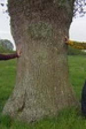Springwatch S17E02 720p HDTV x264-DARKFLiX EZTV