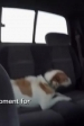 Rescue Cam S01E09 WEB h264-BAE EZTV
