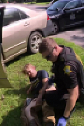 Cops S35E28 720p HEVC x265-MeGusta EZTV