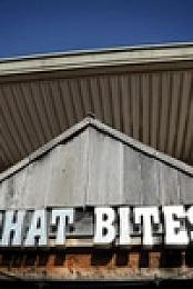 Diners Drive-Ins and Dives S42E10 480p x264-mSD EZTV