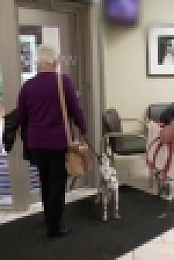 Vets Saving Pets S01E24 720p WEB x264-ROBOTS [eztv]
