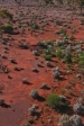 Aussie Gold Hunters S06E09 XviD-AFG EZTV