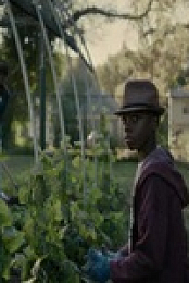 Atlanta S03E01 480p x264-mSD EZTV