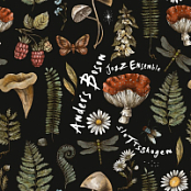 Anders Boson Jazz Ensemble - Slottsskogen (2025) FLAC