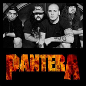 Pantera-Discography.1990-2020.MP3.VBR-q0