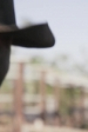 Outback Ringer S01E10 1080p HDTV H264-CBFM EZTV