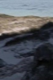 Survivor S40E13 480p x264-mSD [eztv]