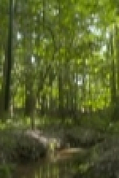 Moonshiners S09E09 720p WEB x264-TBS [eztv]