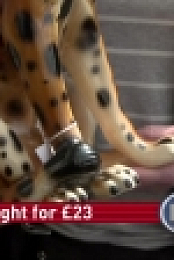 Bargain Hunt S53E07 HDTV x264-DOCERE EZTV