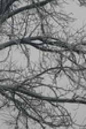 After the First 48 S08E08 720p WEB h264-BAE EZTV