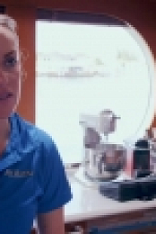 Below Deck S08E16 WEB h264-BAE EZTV