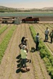 Tough As Nails S03E06 XviD-AFG EZTV