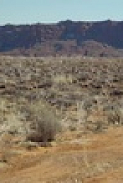 The RVers S03E04 XviD-AFG EZTV