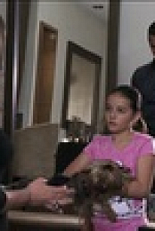 The Impostor S01E01 XviD-AFG EZTV